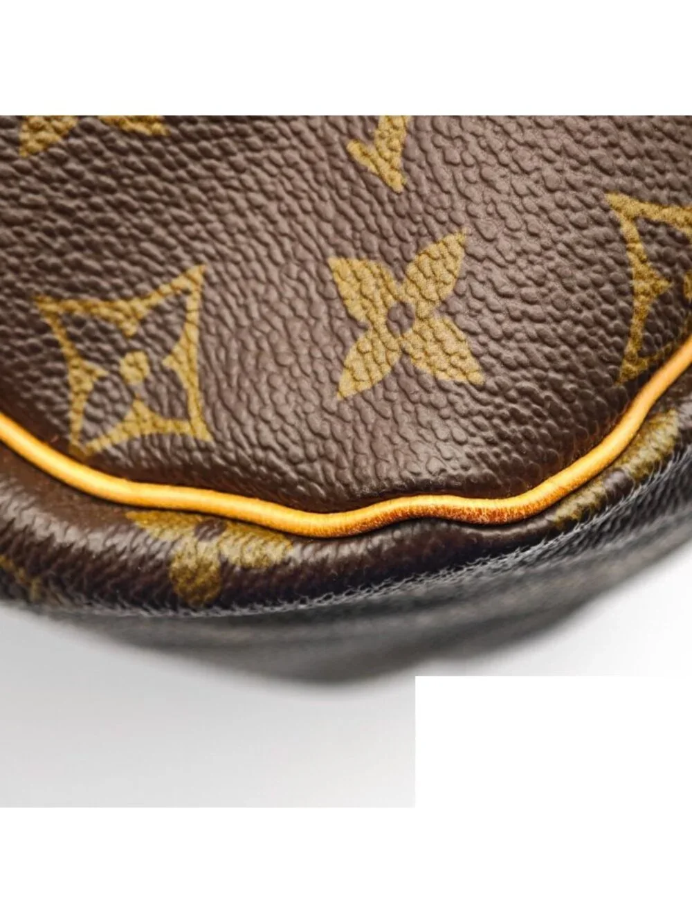 Louis Vuitton Monogram Shoulder Bag